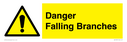 danger-falling-branches~